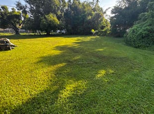 Suzanne G.'s turf maintenance service result