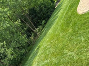 Terry L.'s lawn care service result