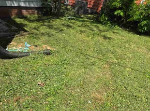 Erin S.'s lawn maintenance service result