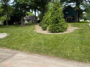 Jessica L.'s lawn care service result