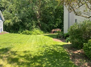 Brian J.'s lawn maintenance service result
