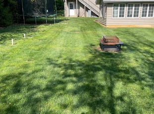 Kellie N.'s lawn care service result