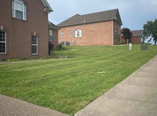 Brian C.'s grass cutting service result