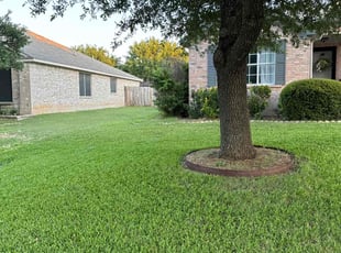 Jeanette B.'s lawn maintenance service result
