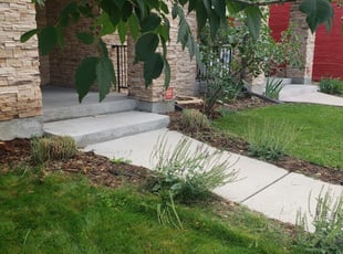 Carol K.'s Bush Trimming service result