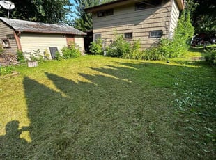 Jonathan R.'s lawn care services service result