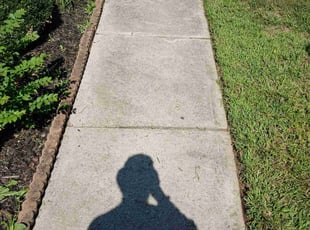 Elizabeth H.'s Long Grass Cleanup service result