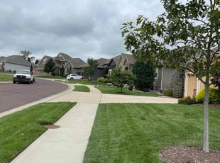 Kelsey H.'s lawn maintenance service result