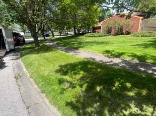 Tiana G.'s grass maintenance service result