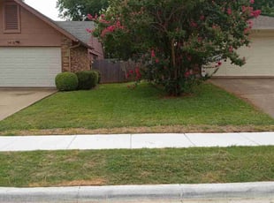 Keith L.'s grass maintenance service result