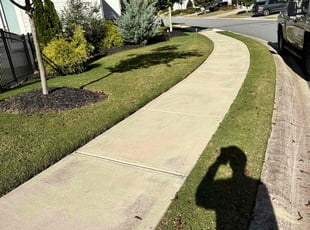 Magarette N.'s grass maintenance service result