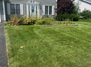 John C.'s turf care service result