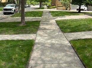 Anthony A.'s lawn care services service result