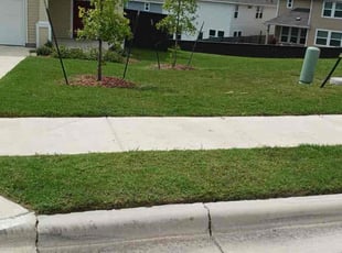 Joan Claire L.'s grass maintenance service result