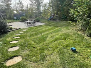 Eric T.'s grass cutting service result