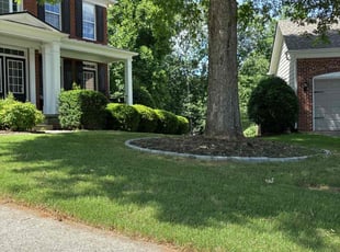 James K.'s grass maintenance service result