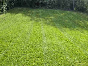Brian N.'s lawn care services service result