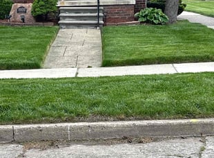 Mary R.'s grass maintenance service result