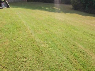 Deborah W.'s grass cutting service result