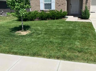 Austin B.'s lawn care service result
