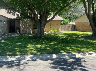 Terri S.'s grass maintenance service result