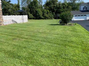 Frank J.'s lawn maintenance service result