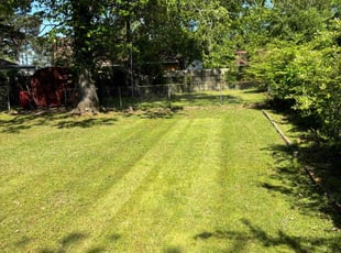 Phillip L.'s lawn maintenance service result