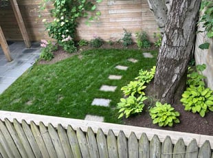 Betty F.'s turf maintenance service result