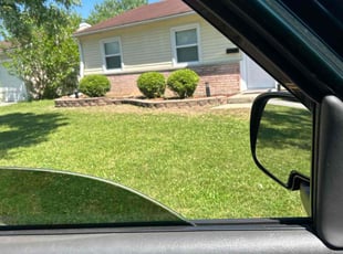 Robert A.'s Bush Trimming service result