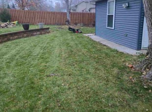 Vivian L.'s turf care service result