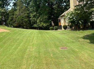 Janine P.'s turf care service result