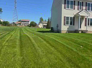 Jarrid C.'s lawn care service result