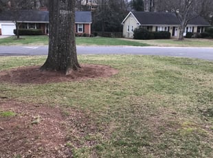 Dean R.'s Leaf Removal service result