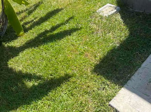 Waylon J.'s lawn care services service result