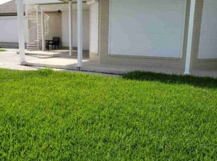 Charlie W.'s grass cutting service result