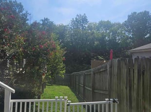 Adria H.'s turf care service result