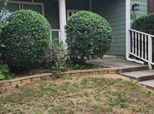Keith M.'s Bush Trimming service result