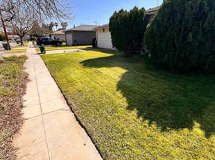 June W.'s lawn service service result