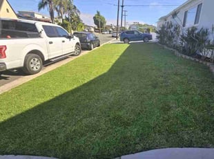Frank T.'s lawn service service result