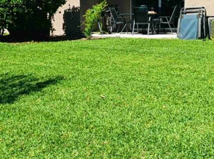 Nicole J.'s lawn care services service result