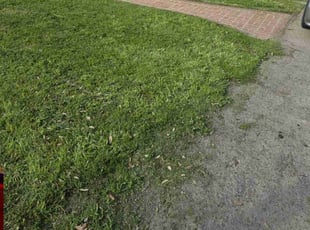 Kim F.'s turf care service result