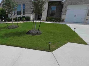 Chris B.'s lawn maintenance service result