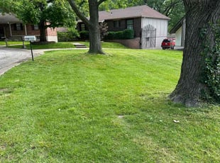 Stacy M.'s grass cutting service result