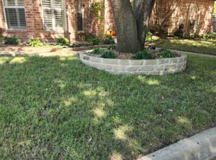 Ariel X.'s grass maintenance service result