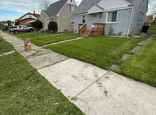 Michael B.'s Long Grass Cleanup service result