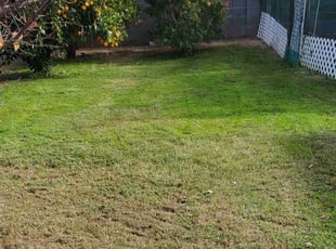 Jeff s.'s lawn care services service result