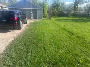 Tj C.'s lawn care service result