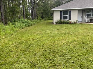 Steve V.'s lawn care services service result