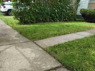 Guadalupe C.'s grass maintenance service result