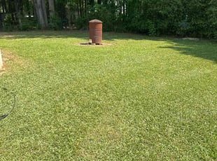 Alexandra L.'s lawn care services service result